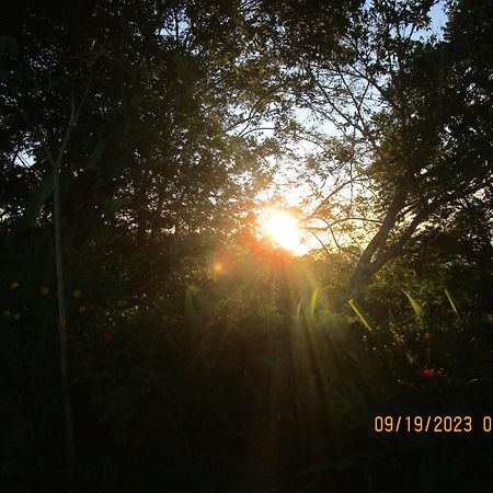 Casa Aquiares Lodge Posada Rural Турриальба Экстерьер фото