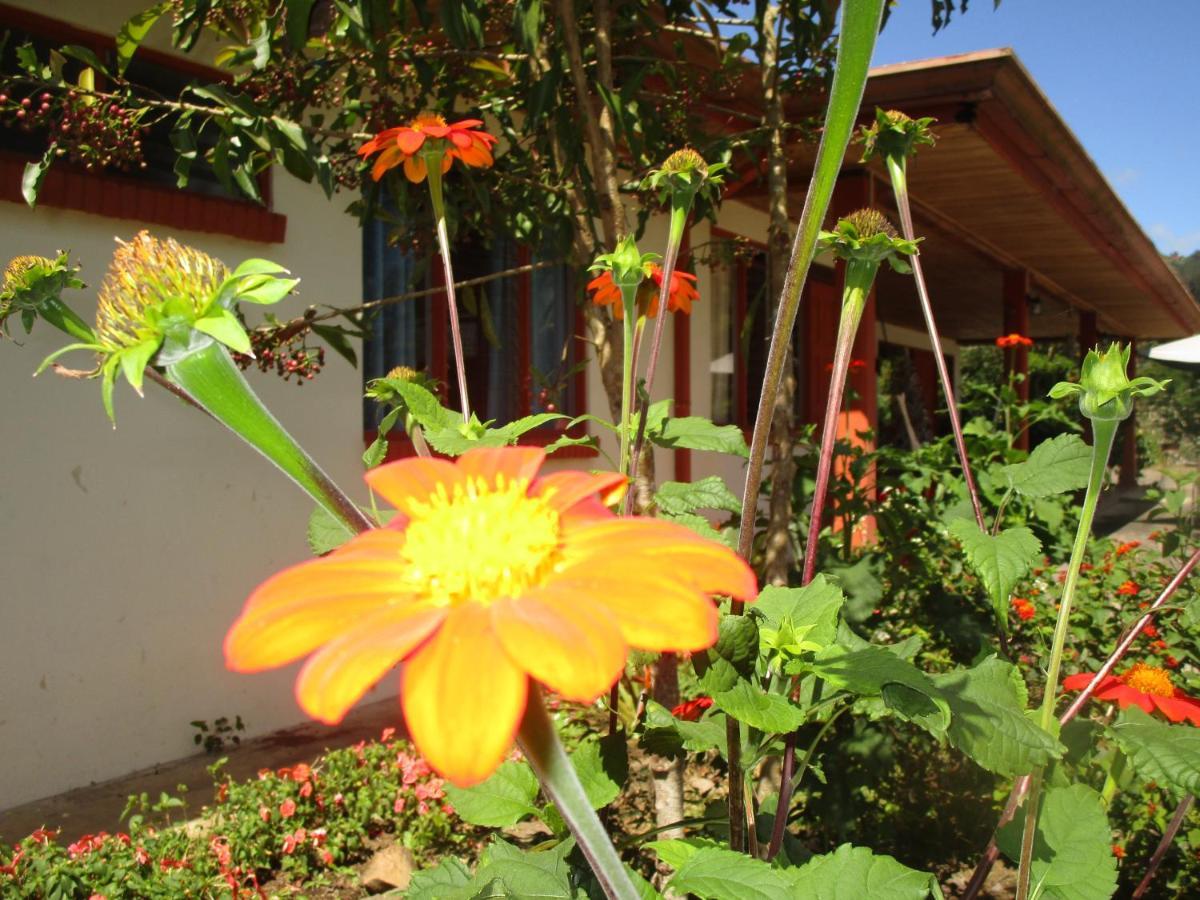 Casa Aquiares Lodge Posada Rural Турриальба Экстерьер фото